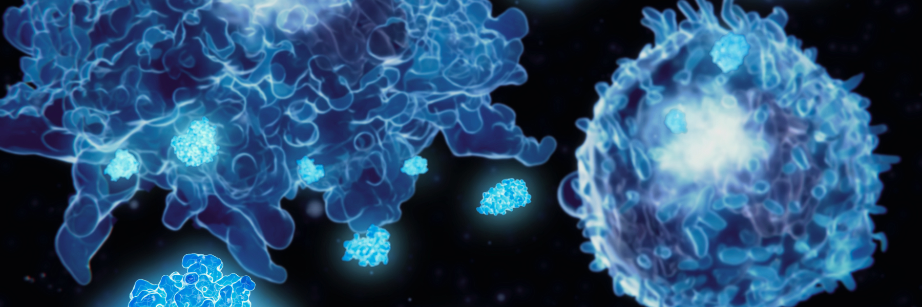 CRS Case Studies